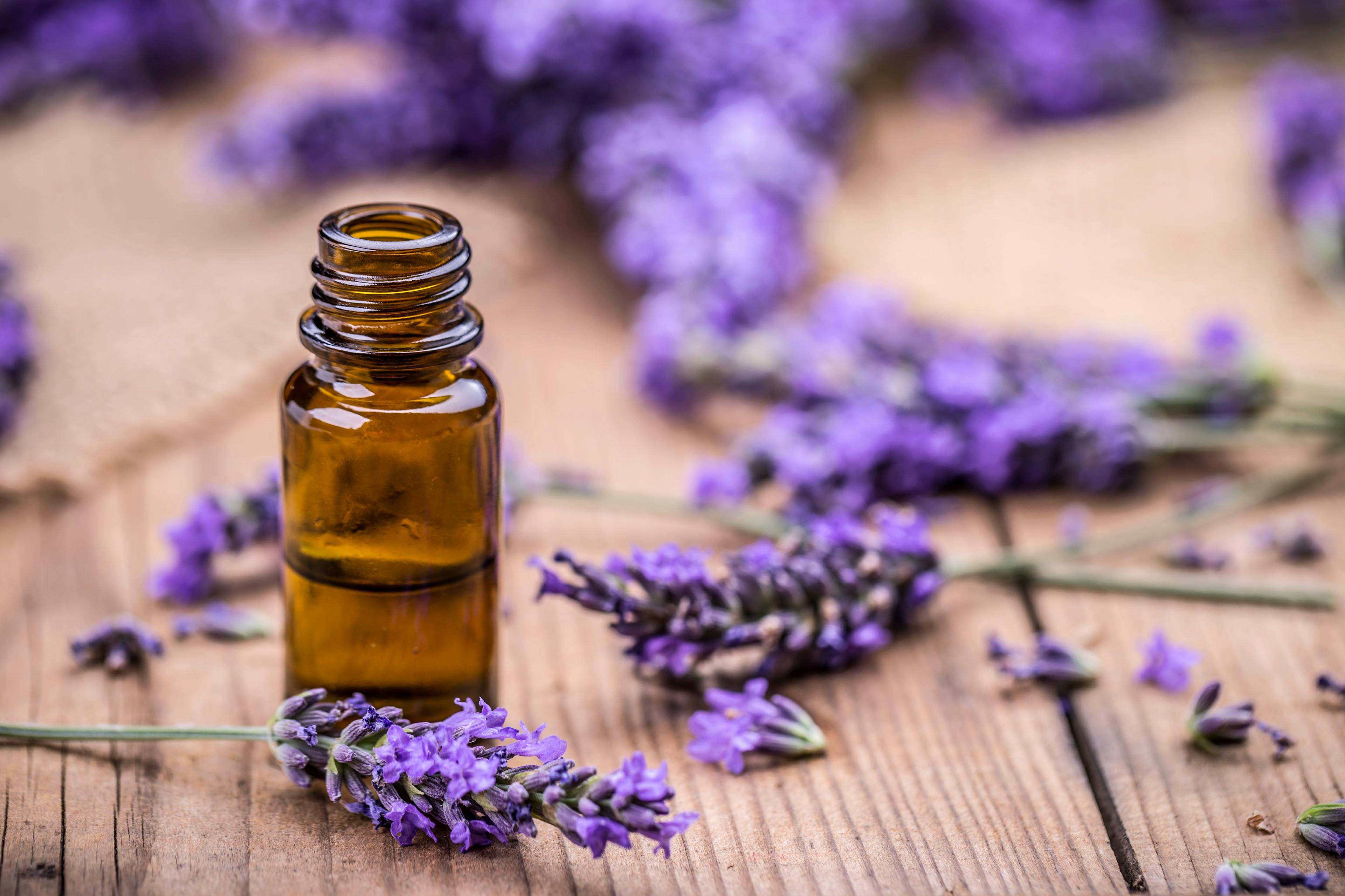 Exploring the Therapeutic Potential of Lavender Essential Oil in Atopic Dermatitis