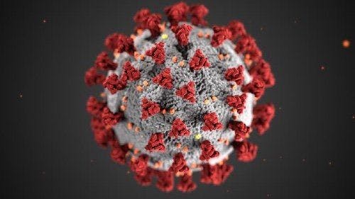 AAD cancels annual meeting amid coronavirus concerns
