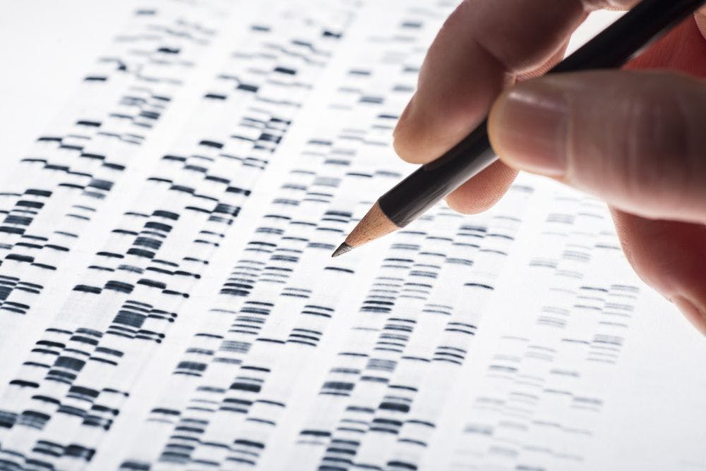 Uptake for genetic testing of melanoma risk is high in primary care setting