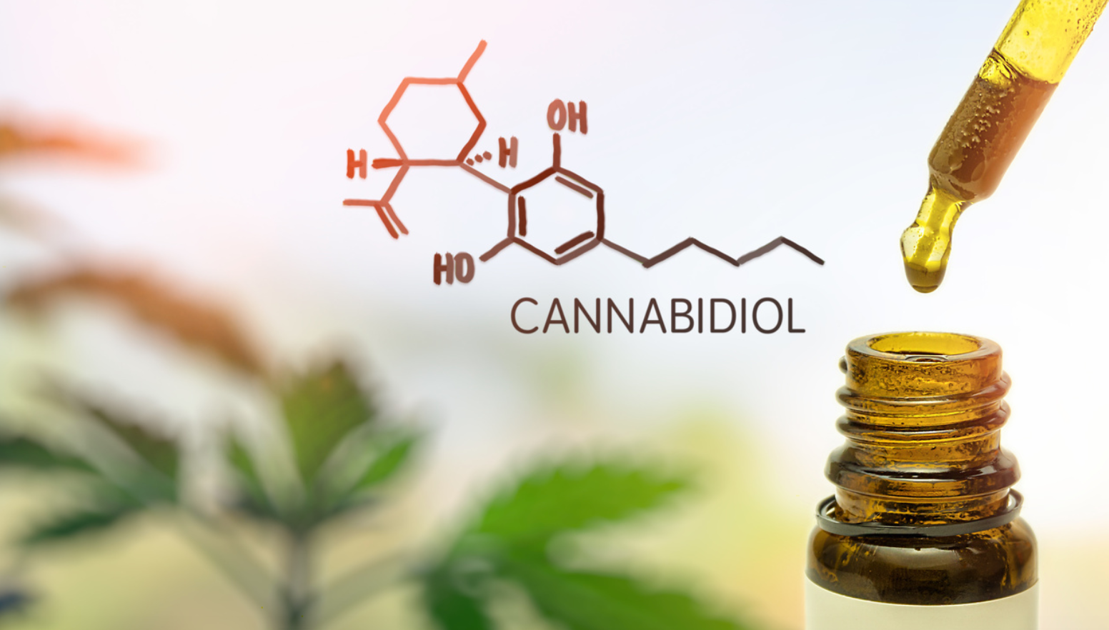 Cannabinoid products may alter effects of prescription drugs