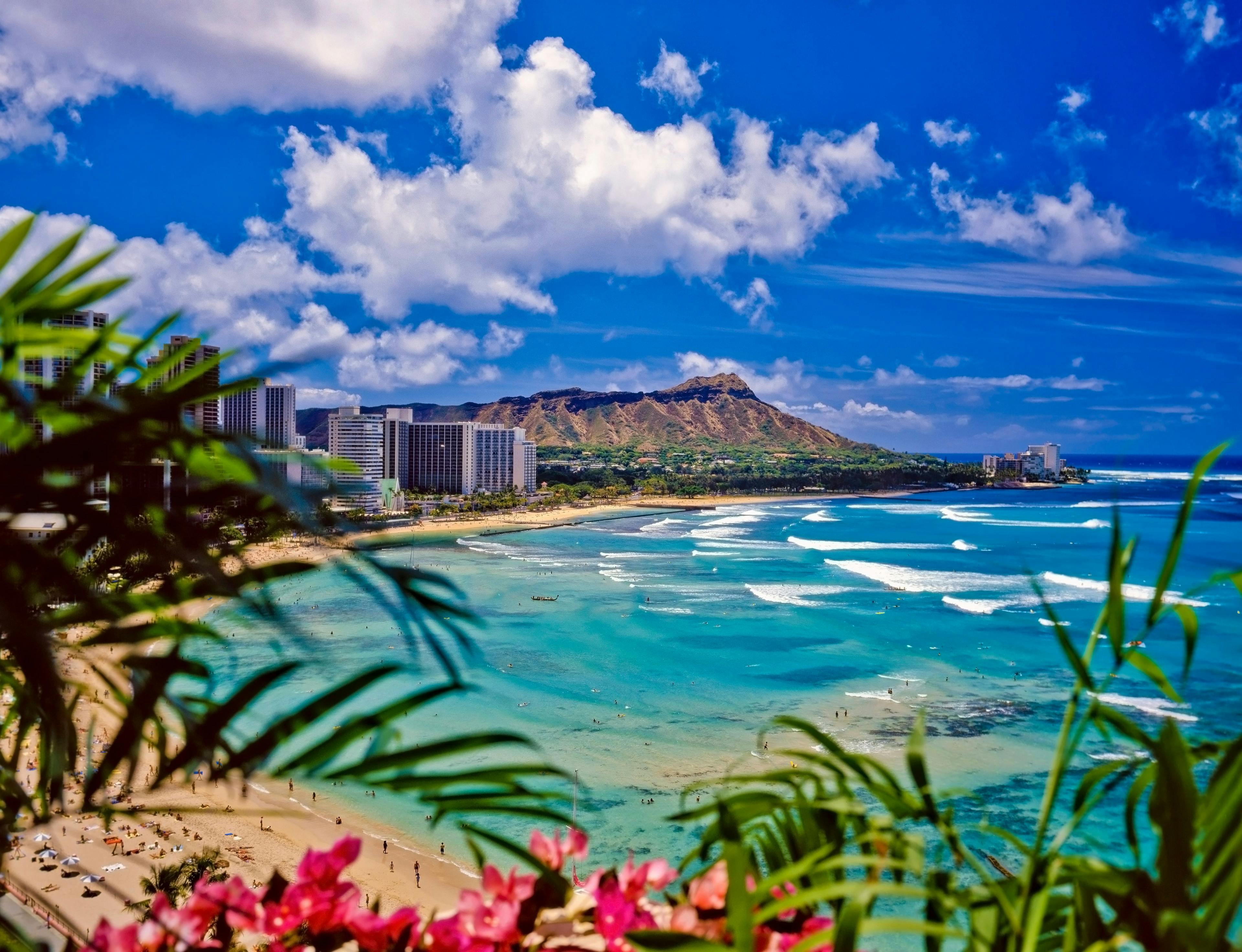 What to Expect at the 2023 Winter Clinical Hawaii Dermatology Conference  