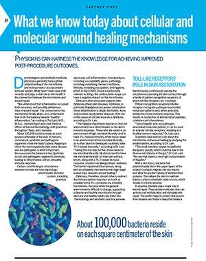 What we know today about cellular and molecular wound healing mechanisms