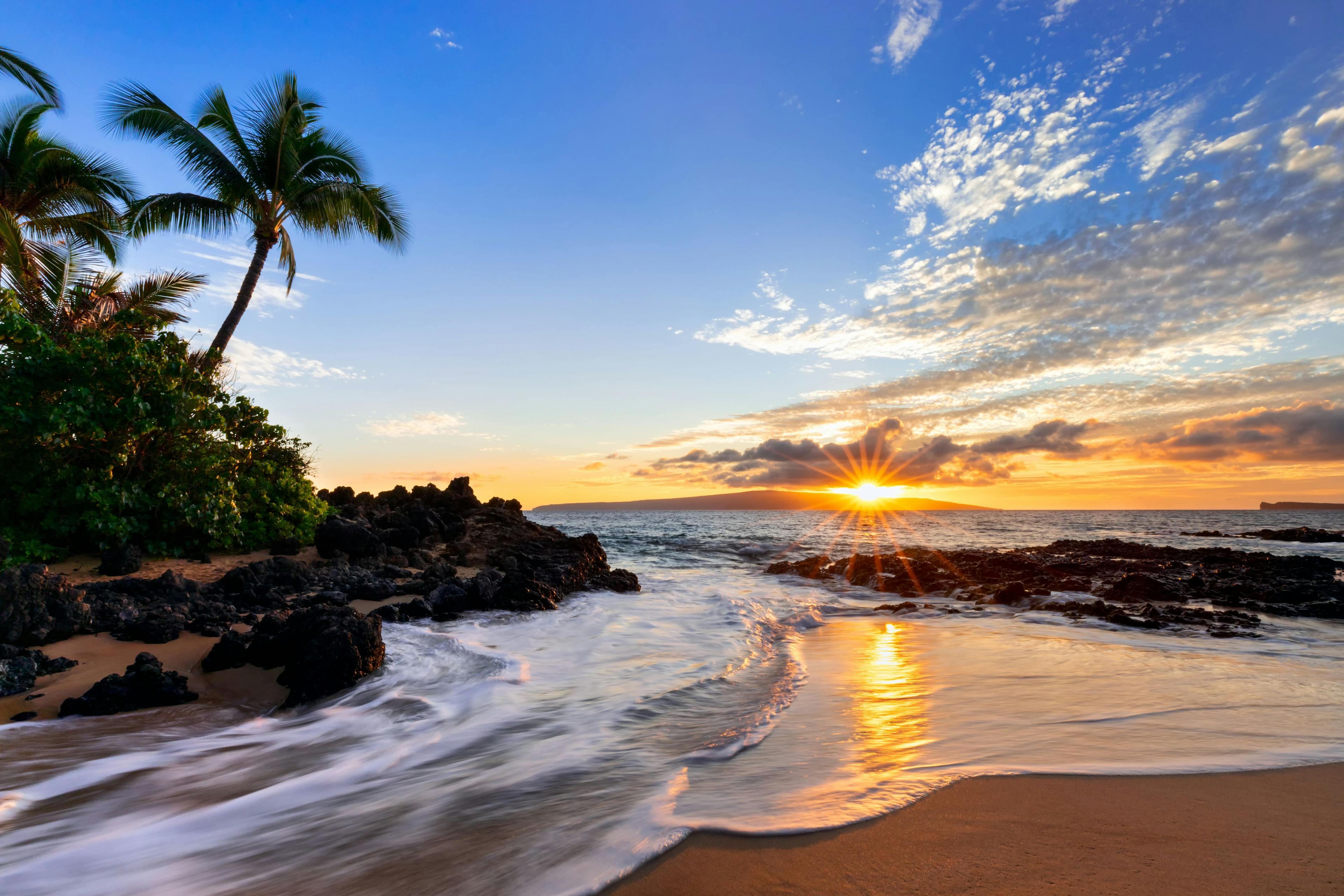 Complete Racap of Maui Derm Hawaii 2023