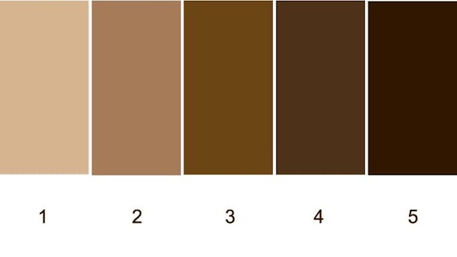 Colorimetric Scale Offers Practical Classification in Clinical Assessment of Skin of Color