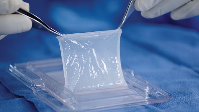 Mallinckrodt Receives FDA Label Update for StrataGraft Xenotransplantation Requirements 