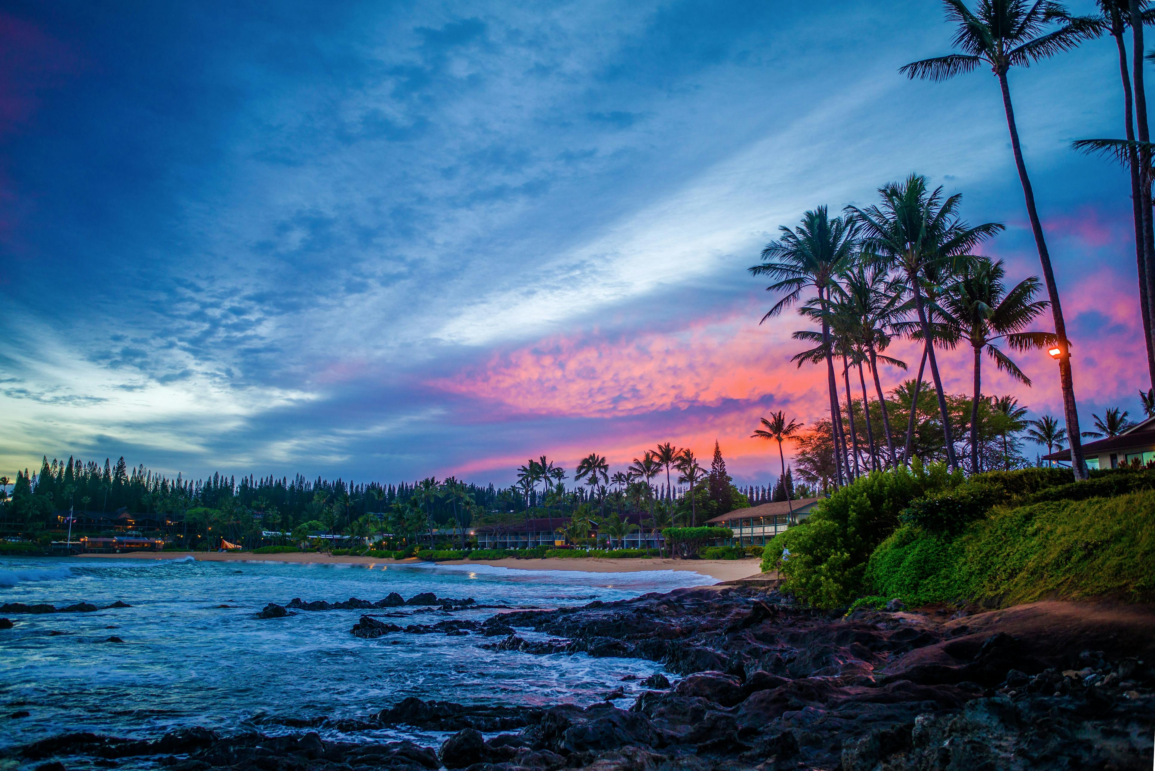 Aloha to Innovative Dermatologic Care: Reflecting on 2023 Winter Clinical Hawaii