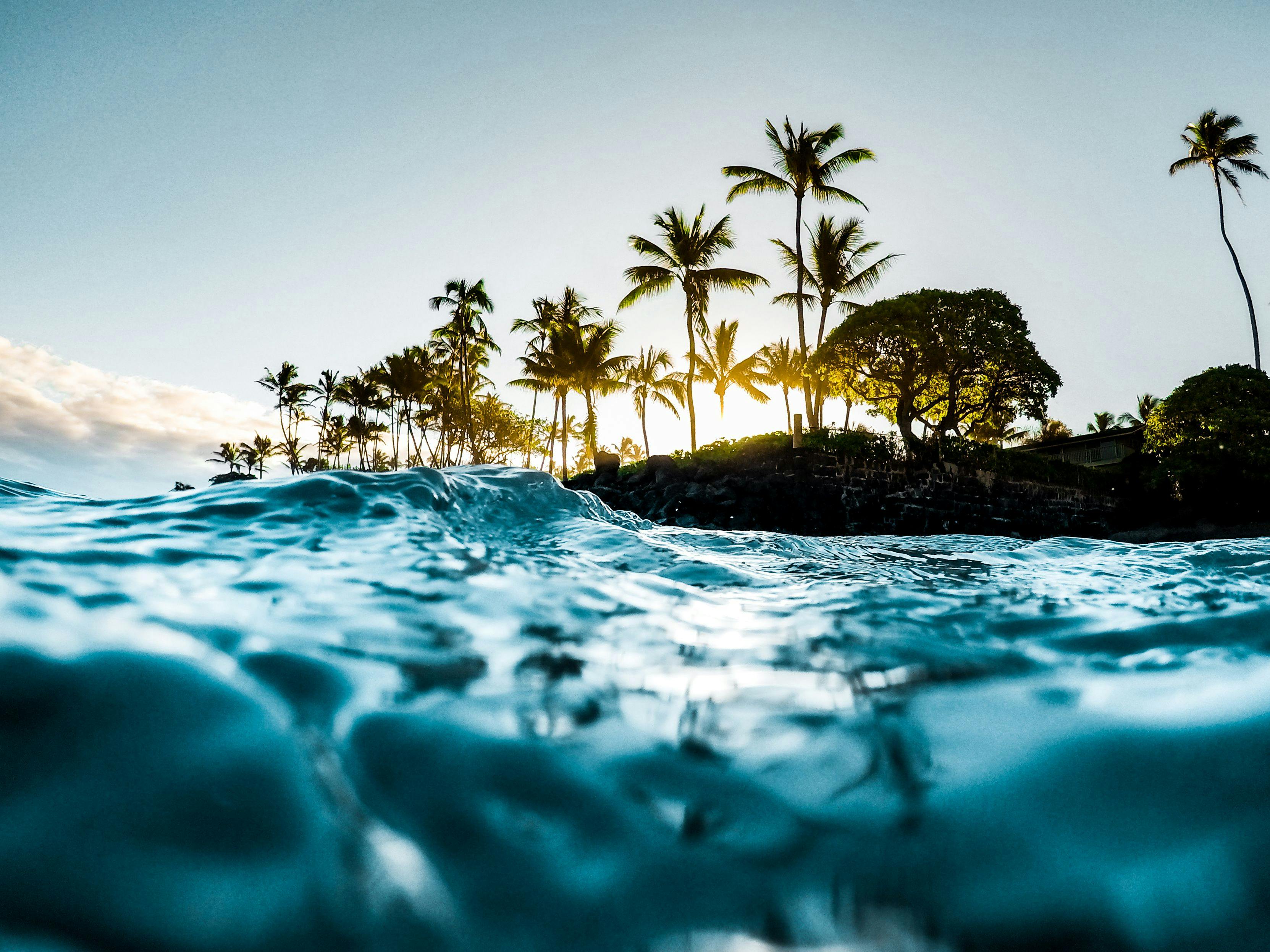 Fun in the Sun: What to do at the 2023 Winter Clinical Hawaii Conference  